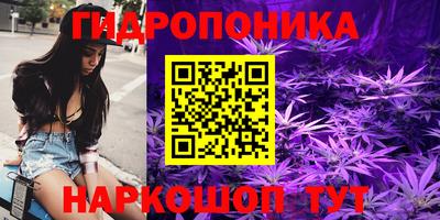 СК Мариинск