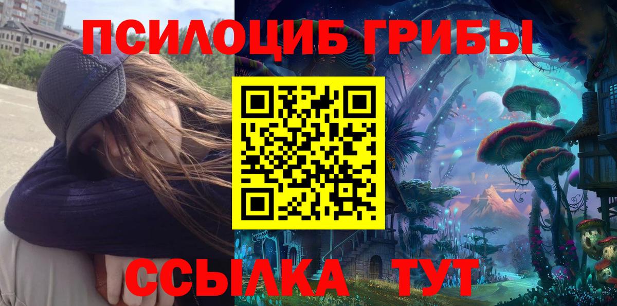 Сергиев Посад  Псилоцибиновые грибы Psilocybe  Вход с VPN 
